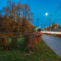 Вечерняя прогулка :: Александр Синдерёв