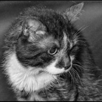 . . . :: Руслан 