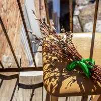 Риддер :: Дмитрий 