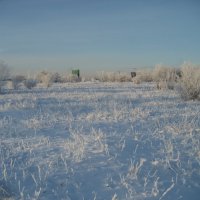 Зима :: Anna Ivanova