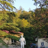 СКВЕР :: Tata Wolf