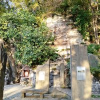 СЕРОВОДОРОДНЫЙ ИСТОЧНИК :: Tata Wolf