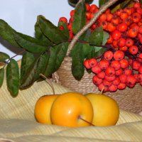 Осенняя зарисовка. :: nadyasilyuk Вознюк