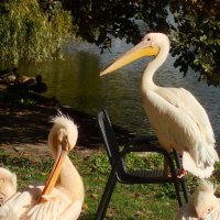 Сейчас я расскажу стихотворение :: Юрий. Шмаков Сейчас я расскажу стихотворение :: Юрий. Шмаков