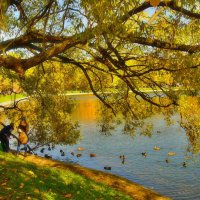 Осенний парк :: Наталья Лакомова