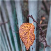 * :: AZ east3 * :: AZ east3