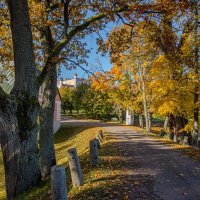 *** :: Геннадий Порохов