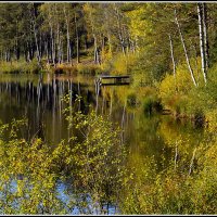 Октябрь... :: Aleksandr Gal