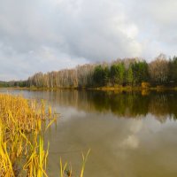 осень :: НАТАЛЬЯ 