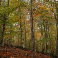 Крым. :: Борис 