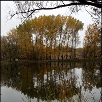 (***) :: Сергей Премонишын