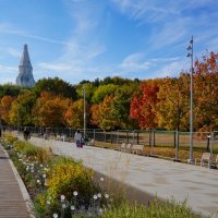 Краски осени :: Ольга 