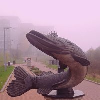 Царская щука :: Сергей Кочнев