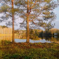 Осенний день :: Сергей Кочнев