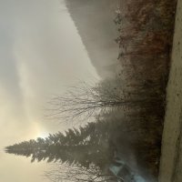 Туман :: Ален Янн 