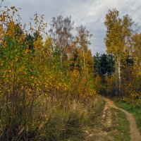 Осенними дорожками :: Сергей Цветков