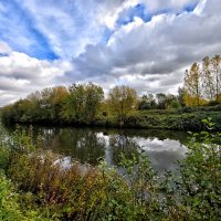 Прогулка вдоль реки :: igor G.