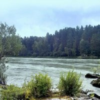 Река Катунь . Спокойное течение . :: Мила Бовкун