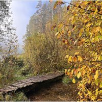 Мостик через ручей. :: Валерия Комова Мостик через ручей. :: Валерия Комова