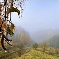 Туман. :: Валерия Комова Туман. :: Валерия Комова