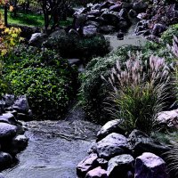 Парк Галицкого..." Японский сад " :: Николай Саржанов