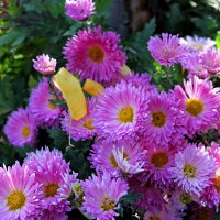 осень :: Николай 