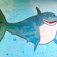 Весёлая акула.. :: Василий Весёлая акула.. :: Василий