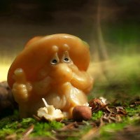 К вопросу о лесовиках...:-) :: Андрей Заломленков