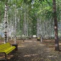 В Нижнем Тагиле :: Елена Шаламова