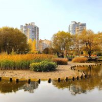 Куркино. Парк Дубрава :: Ирина Via