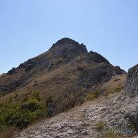 Природа Крыма :: Amazing Cosmea