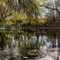 Рябь :: sorovey Sol