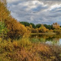 И снова Осень 6 :: Андрей Дворников