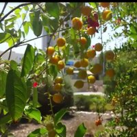 114 (52) :: CLOSE WAYS ALL