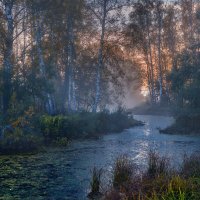 Путаясь в ветвях ... :: Roman Lunin