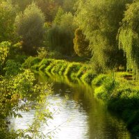 .. речка Яуза бежит.. :: galalog galalog