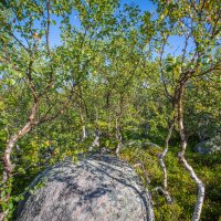 *** :: Виктория Павлова *** :: Виктория Павлова