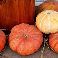 Осень :: Радмир Арсеньев