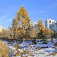 Первый снег в городе :: Анатолий Анищик