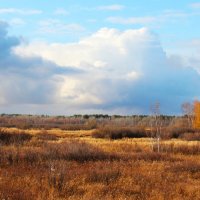 Даль :: Сергей Никифоров