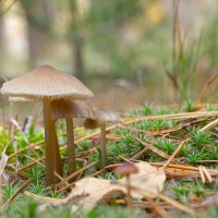 - :: Татьяна Венцель