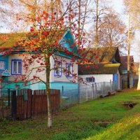 На сельской улице :: Сергей Ц