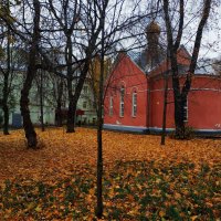 Тоже нужная вещь в больнице :: Андрей Лукьянов