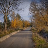 "В октябре у рощи до дождей"© :: Владимир Макаров