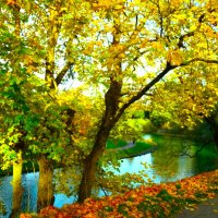 Пруд Шнелли в октябре :: Aida10 Пруд Шнелли в октябре :: Aida10