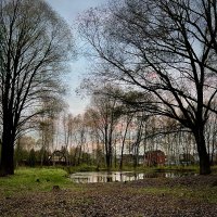 Отражение :: Натали Королева