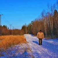 Между осенью и зимой... :: Владимир 