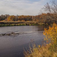 Клязьма осенью :: Сергей Цветков