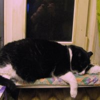 После ужина :: Людмила Смородинская