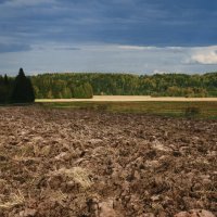 Картины осени :: Галина Ильясова